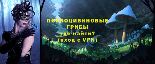 MESCALINE Гусев